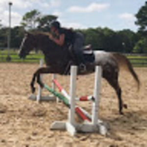 Meet your Posher, Victoria